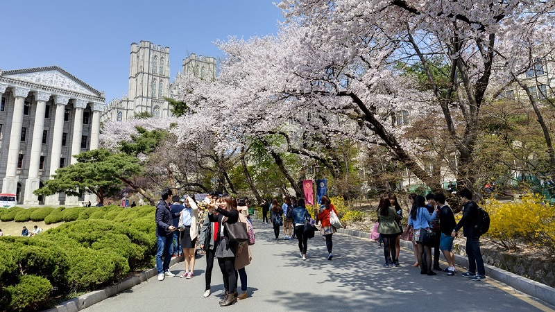 HƯỚNG DẪN DU HỌC HÀN QUỐC DÀNH CHO SINH VIÊN QUỐC TẾ NĂM 2024